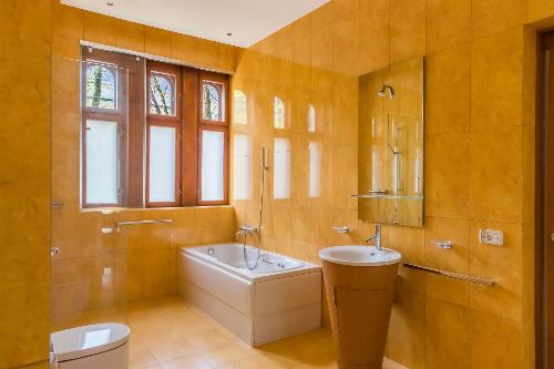 Aviatorilor, the representative villa for rent 12