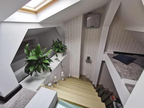 Dorobanti-Capitale, apartment in renovated interwar villa 13