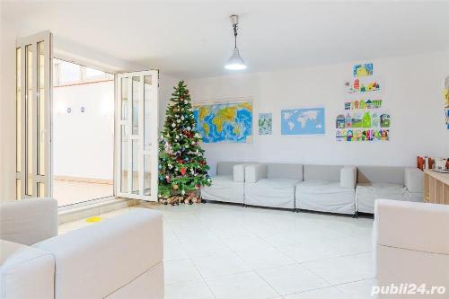 Banu Manta, vila ideala activitate comerciala 1