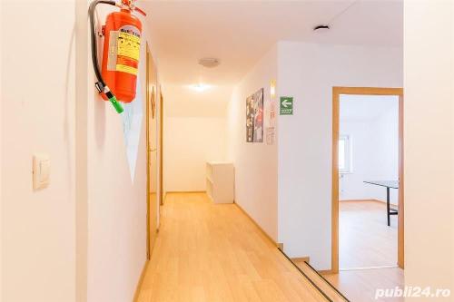 Banu Manta, vila ideala activitate comerciala 3