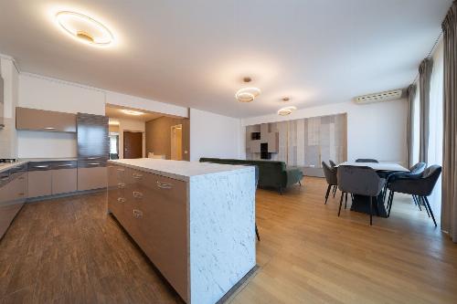 Herastrau, apartament de 4 camere mobilat Rovere 14