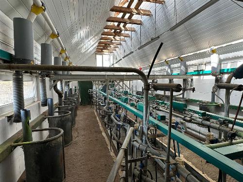 Farm and Dairy Production Facility Mesendorf / Rupea BV