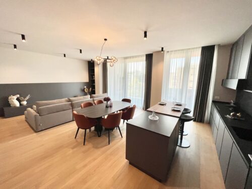 Luxury apartment! First rent! 3 bedrooms