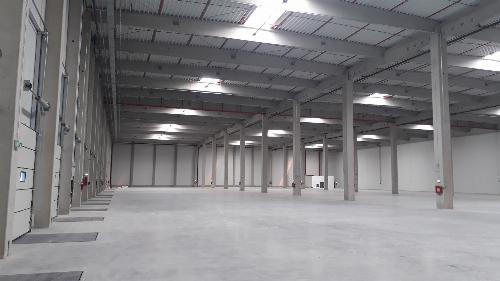 Warehouse for rent Timisoara