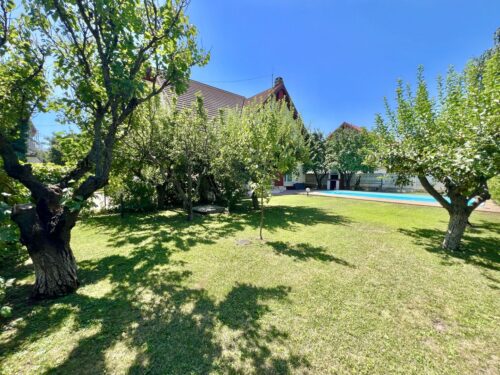 Iancu Nicolae area / Villa with generous garden and pool