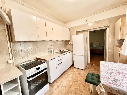 Apartament în vilă / curte / demisol