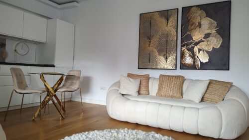 Apartament 2 Camere | Loc de Parcare | Herastrau Park View