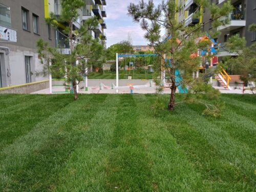Vanzare apartamente Bucuresti – Crosspoint Imobiliare- Garsoniera spatioasa I Parcul Liniei I Metrou Gorjului 600m - crosspoint-imobiliare.ro