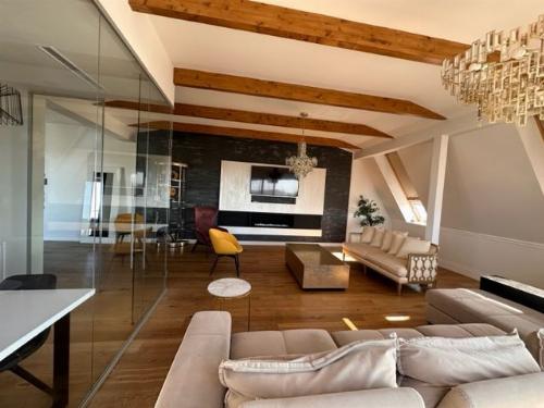 Penthouse superb Herastrau