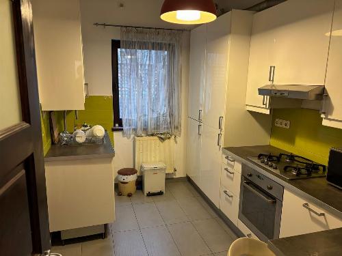 Apartament 9 camere in vila – Panduri/Cotroceni 8