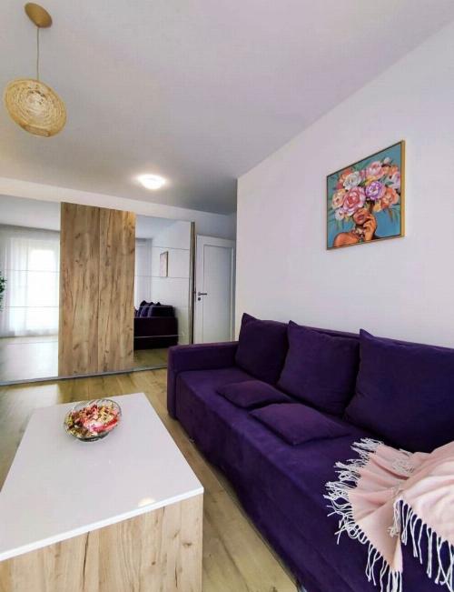 Apartament 2 Camere | Baneasa – Sisesti 2