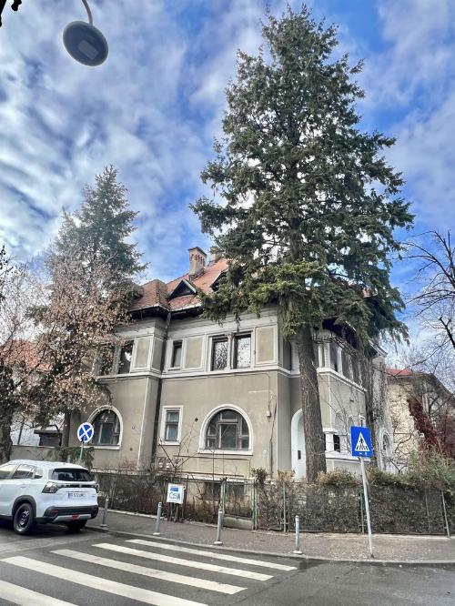 Unique opportunity to invest in an impressive villa 6