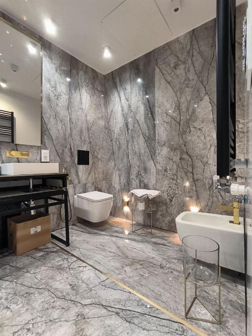 Apartament de vanzare Victoriei 4 camere de lux cu gradina – 2 locuri parcare 26