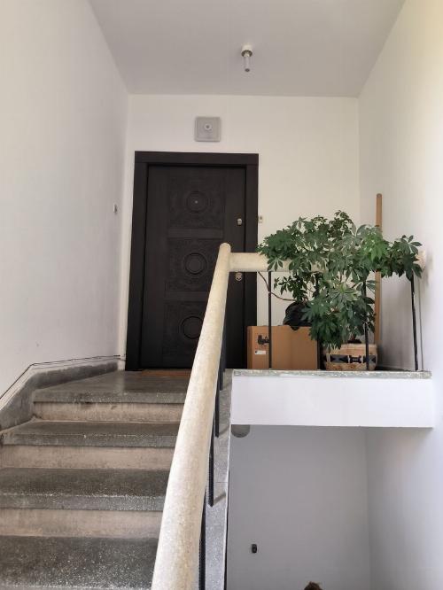 Apartament de vanzare 4 camere Primaverii, cu garaj box si teren 20
