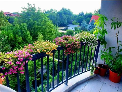 Garsoniera de vanzare in zona Pipera 6