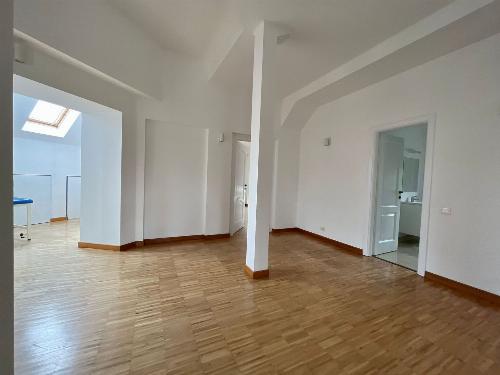 Vila individuală Iancu Nicolae / 2000 mp teren 41