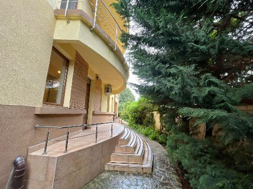 Vila individuală Iancu Nicolae / 2000 mp teren 44