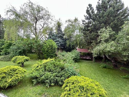 Vila individuală Iancu Nicolae / 2000 mp teren 56