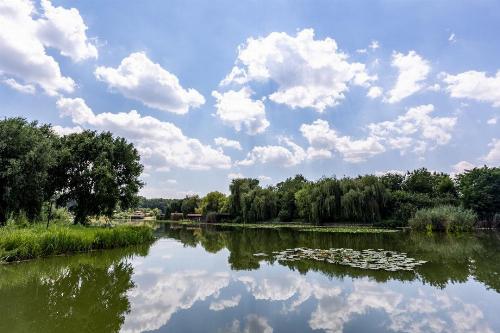 FOR SALE | VILLA+POOL SNAGOV | 7 ROOMS 10