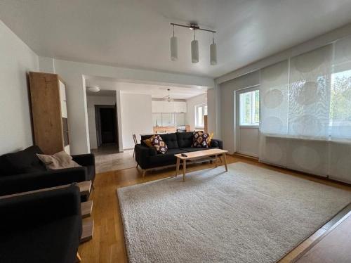 Alexandru Șerbănescu / Fully furnished and equipped apartment 1