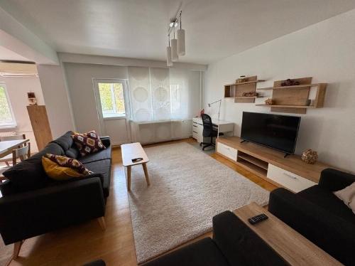 Alexandru Șerbănescu / Fully furnished and equipped apartment 2