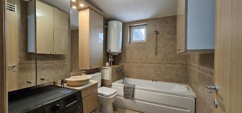 Duplex superb | Tunari | Curte retrasa 3
