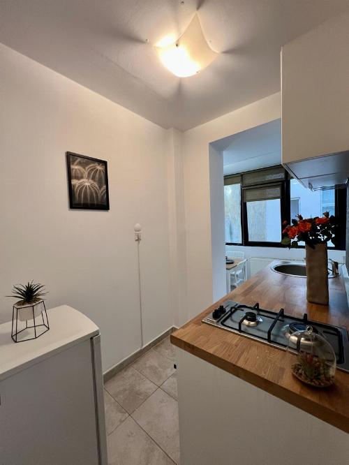 Garsoniera de vanzare Cismigiu 6