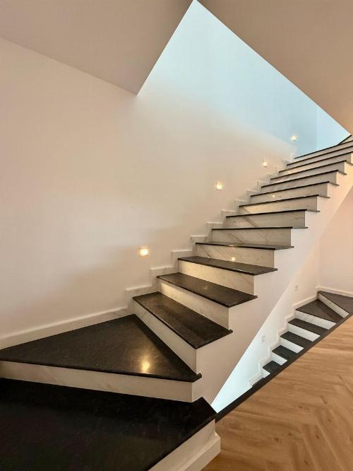 Cambridge School of Bucharest / Vilă nouă 9