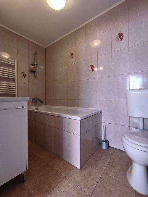 Casa 3 camere de vanzare curte comuna Universitate 10