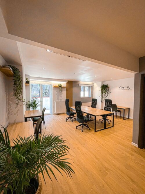 Vanzare apartamente Bucuresti – Crosspoint Imobiliare- Apartament la parter  – Calea Victoriei- terasa 38 mp - crosspoint-imobiliare.ro