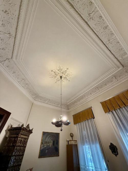 Authentic architecture, high ceilings – special residence on a quiet street 4