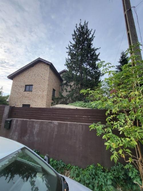 Spacious and elegant Detached House | Generous Court | Tunari 14