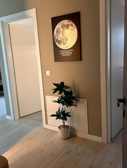 2 camere cu design unic | Vedere panoramica catre Padurea Baneasa 7