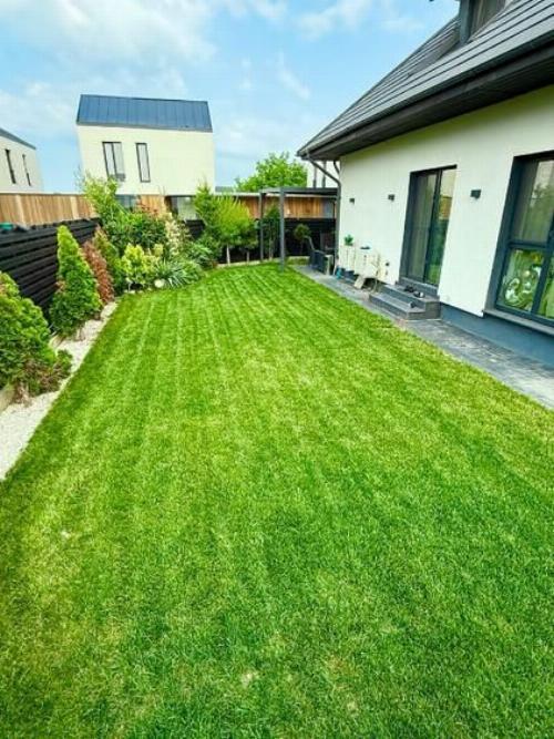 Premium Individual Villa | Tunari | Very generous yard 14