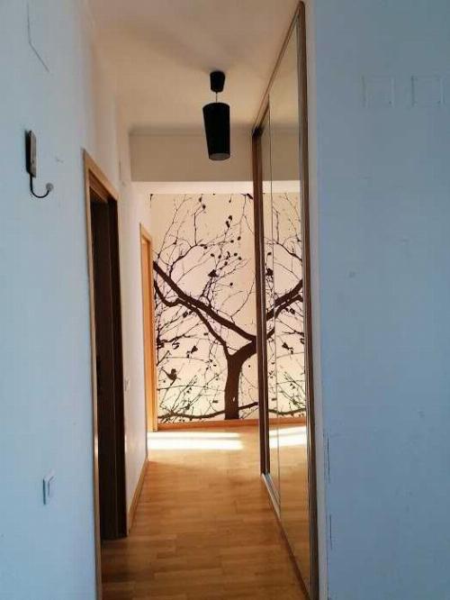 Apartament 3 camere 10