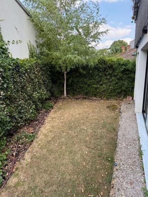 Apartment with garden Dorobanti 7