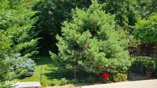 Vila de vanzare | Liceul Francez 11