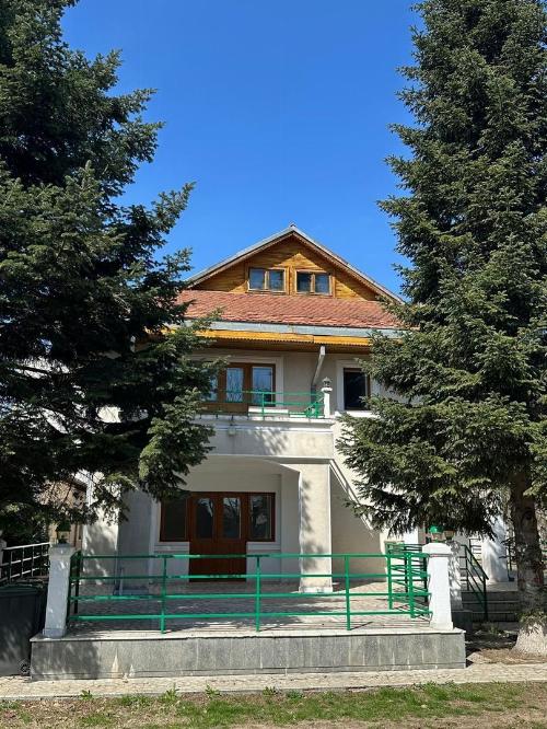 Detached Villa Bucharest New 3