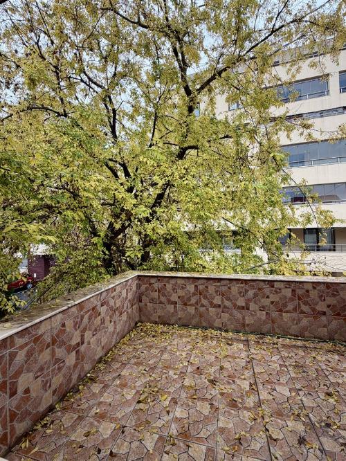 Villa for rent in the French Quarter, for residential or business 6