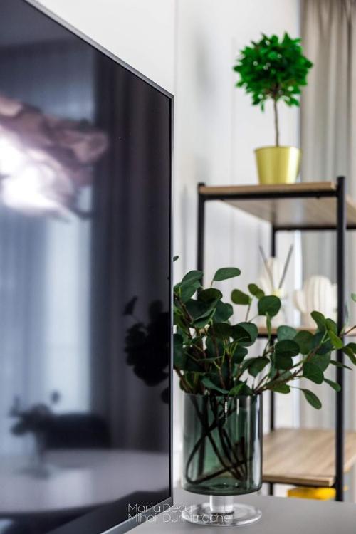 One Herăstrău Plaza / 2 camere 11