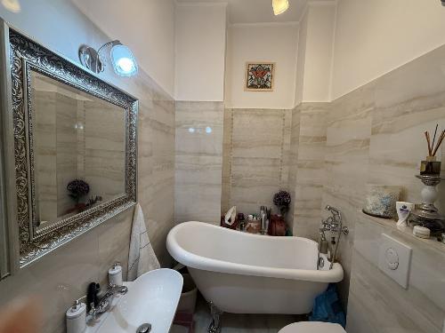 Sale | Studio | Herastrau 3