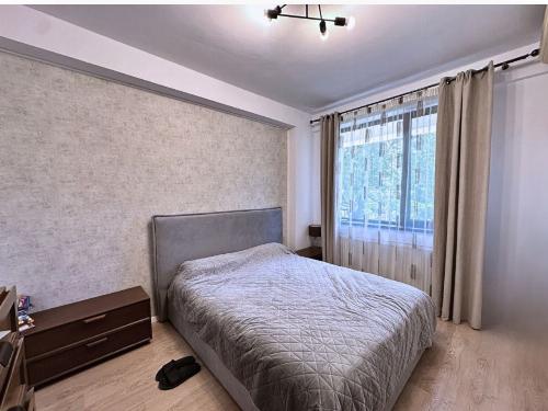 Apartament 4 camere cu grădină privată | Casa Presei – Bucureștii Noi 7