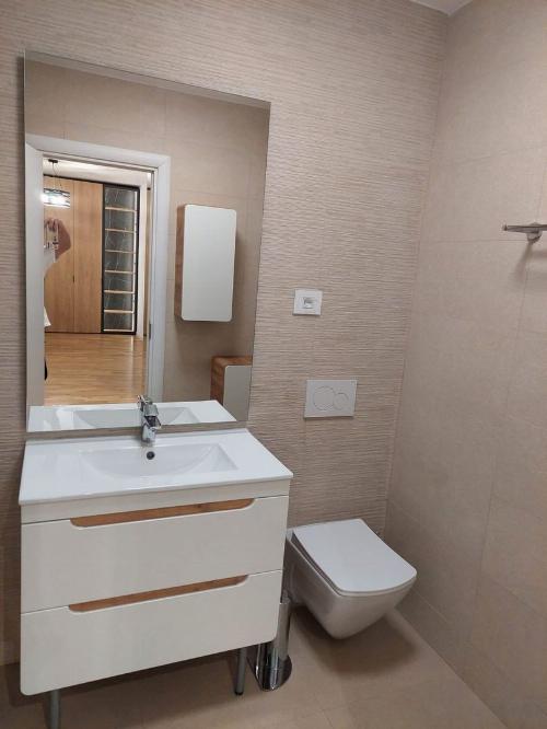 Apartament rafinat cu 2 camere în Iancu Nicolae 9