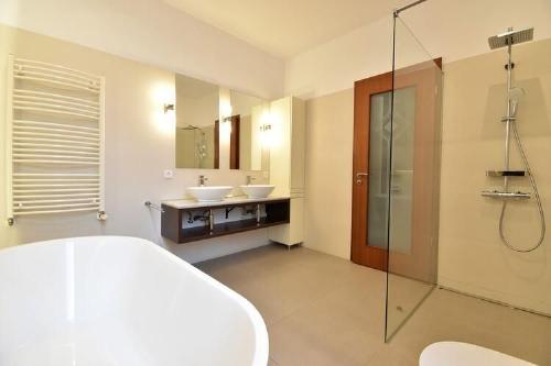 4 Camere – Herastrau – Aron Cotrus – 2 Parcari 12