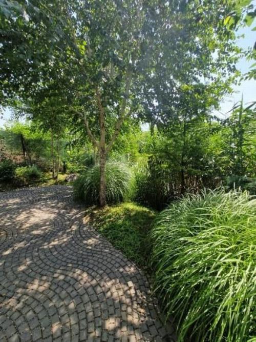 2-room apartment Pipera-Waterfront Residence 11