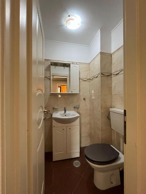 Proprietate cu Suprafețe Ample și Design Unic – Zona Herăstrău 4