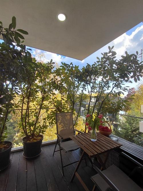 Bloc boutique / Acces imediat in parc 2