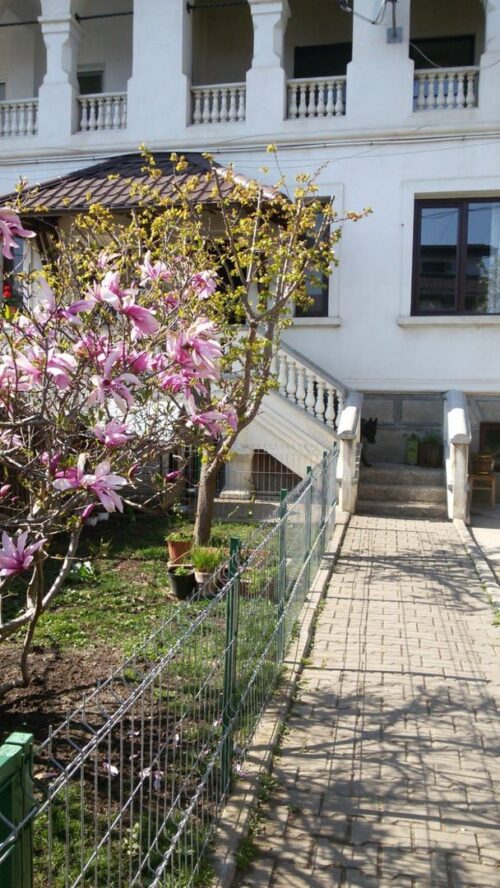 Vanzare case / vile – Crosspoint Imobiliare- Casa de vanzare zona Pescariu Sports&Spa - crosspoint-imobiliare.ro