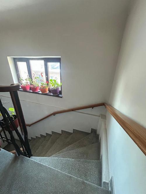 House for sale in the Pescariu Sports & Spa area 7