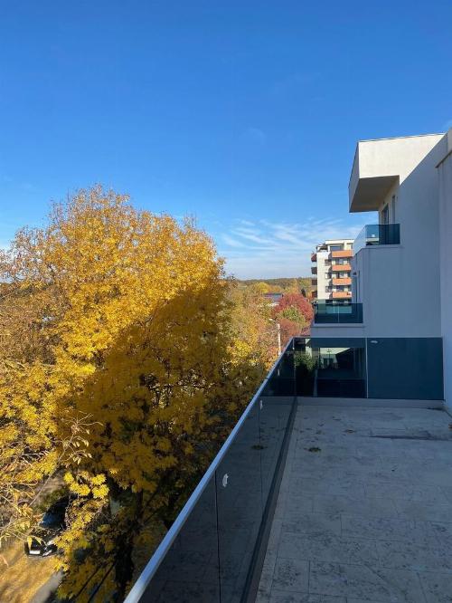 4-room apartment – Băneasa area 8